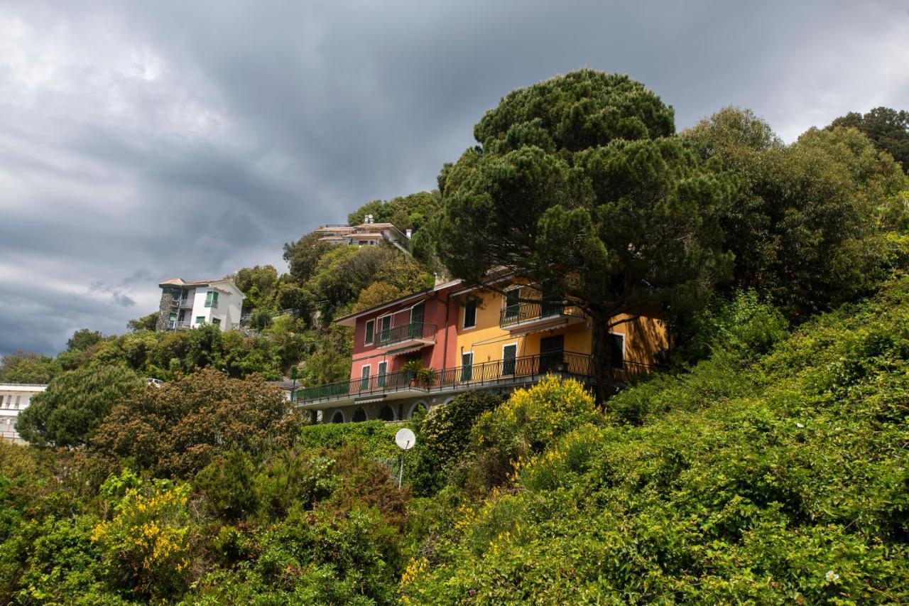 080 - La Villa Storica Il Vigneto 45B, Terrazza Sul Mare - Parcheggio Privato Gratis 莫内利亚 外观 照片